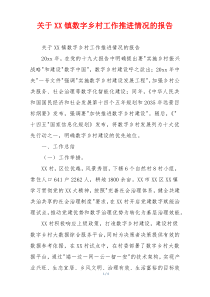 关于XX镇数字乡村工作推进情况的报告