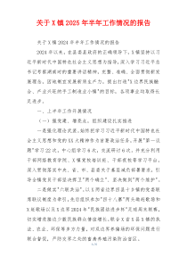 关于X镇2026年半年工作情况的报告