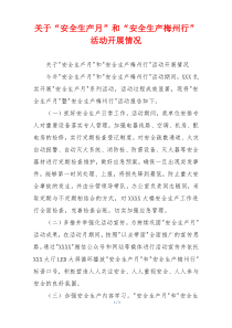 关于“安全生产月”和“安全生产梅州行”活动开展情况