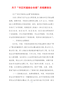 关于“市区河道综合治理”的视察报告