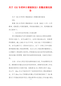 关于《XX专项审计调查报告》的整改情况报告