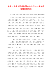 关于《中华人民共和国安全生产法》执法检查情况的报告