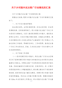 关于乡村振兴试点推广行动情况的汇报