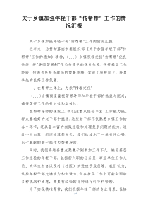 关于乡镇加强年轻干部“传帮带”工作的情况汇报