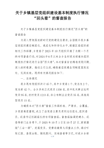 关于乡镇基层党组织建设基本制度执行情况“回头看”的督查报告