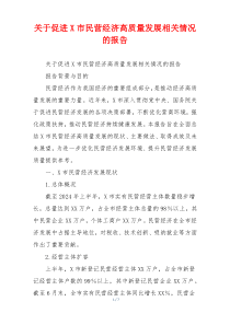 关于促进X市民营经济高质量发展相关情况的报告