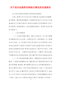 关于党内法规责任制执行情况的自查报告