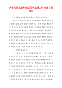 关于党的建设和基层组织建设工作情况自查报告