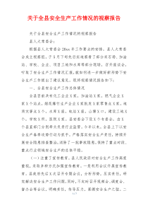 关于全县安全生产工作情况的视察报告