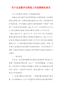 关于全县数字化转型工作进展情况报告