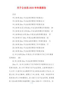 关于公安局2026年年度报告