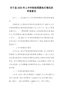 关于县2026年上半年财政预算执行情况的审查意见