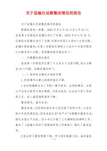 关于县编办巡察整改情况的报告