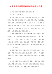 关于园区干部队伍建设有关情况的汇报