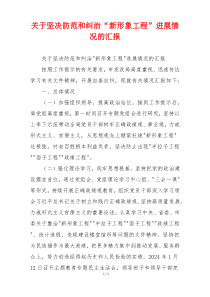 关于坚决防范和纠治“新形象工程”进展情况的汇报
