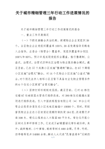 关于城市精细管理三年行动工作进展情况的报告