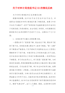 关于对审计局党组书记XX的情况反映