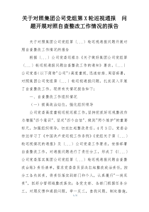 关于对照集团公司党组第X轮巡视通报  问题开展对照自查整改工作情况的报告