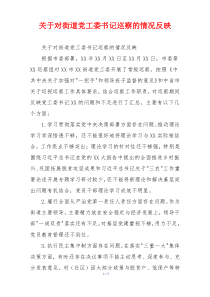 关于对街道党工委书记巡察的情况反映