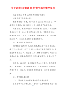 关于巡察XX街道XX村党支部的情况报告