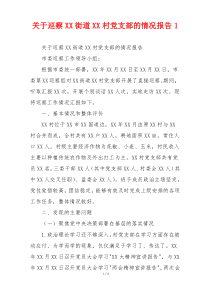 关于巡察XX街道XX村党支部的情况报告1