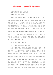 关于巡察XX镇党委的情况报告