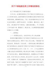 关于干部选拔任用工作情况的报告