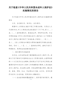 关于检查《中华人民共和国未成年人保护法》实施情况的报告