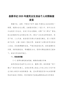 个人对照-县委书记2026年度民主生活会个人对照检查发言