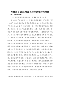 乡镇班子2026年度民主生活会对照检查