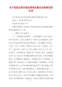 关于省委巡视市委反馈意见整改进展情况的汇报