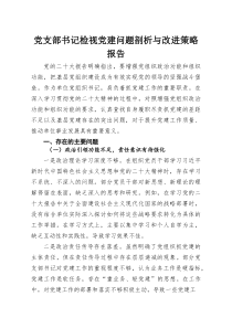 党支部书记检视党建问题剖析与改进策略报告.docx